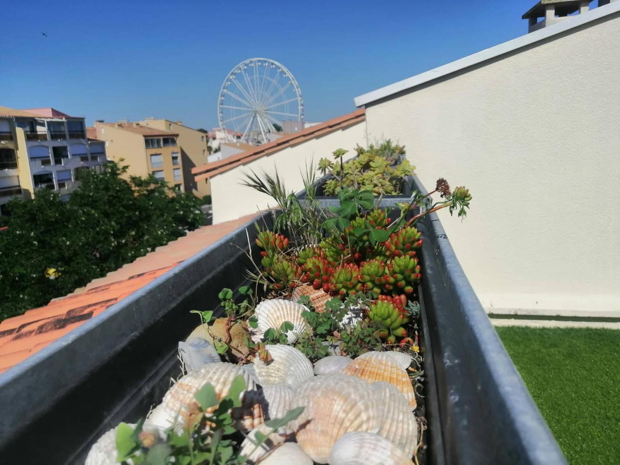 Pamela Sea Cap D Agde